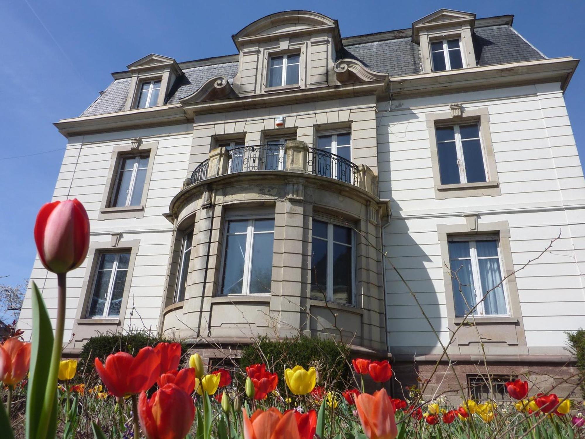 Villa Elyane Colmar Exteriér fotografie